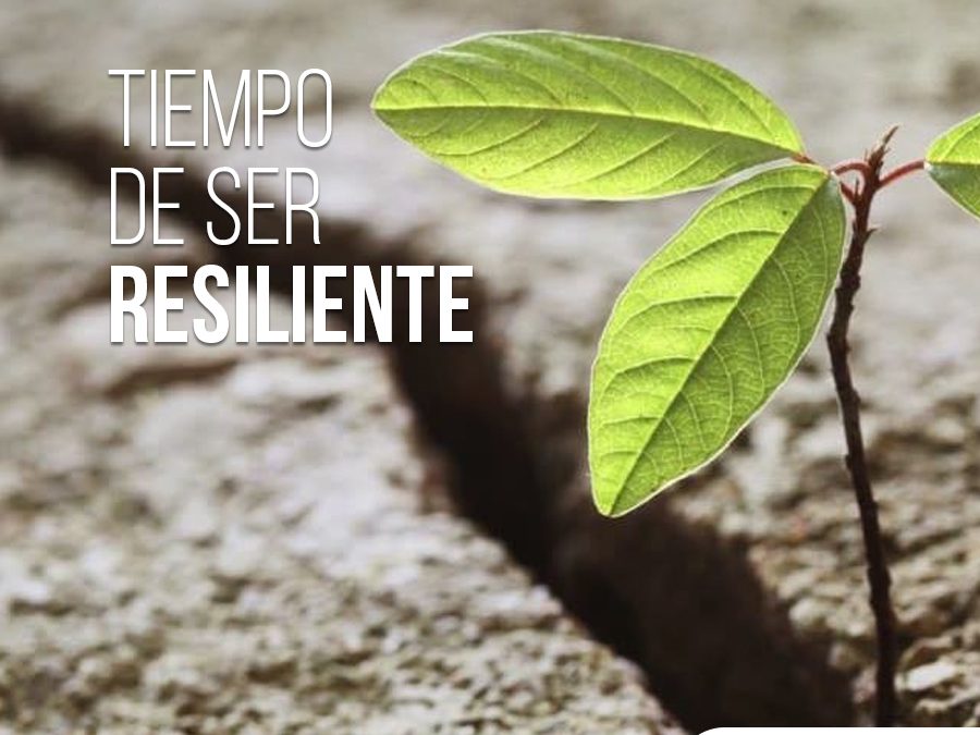 Resiliencia, Resiliente…..qué es ? …y cómo conseguirla….